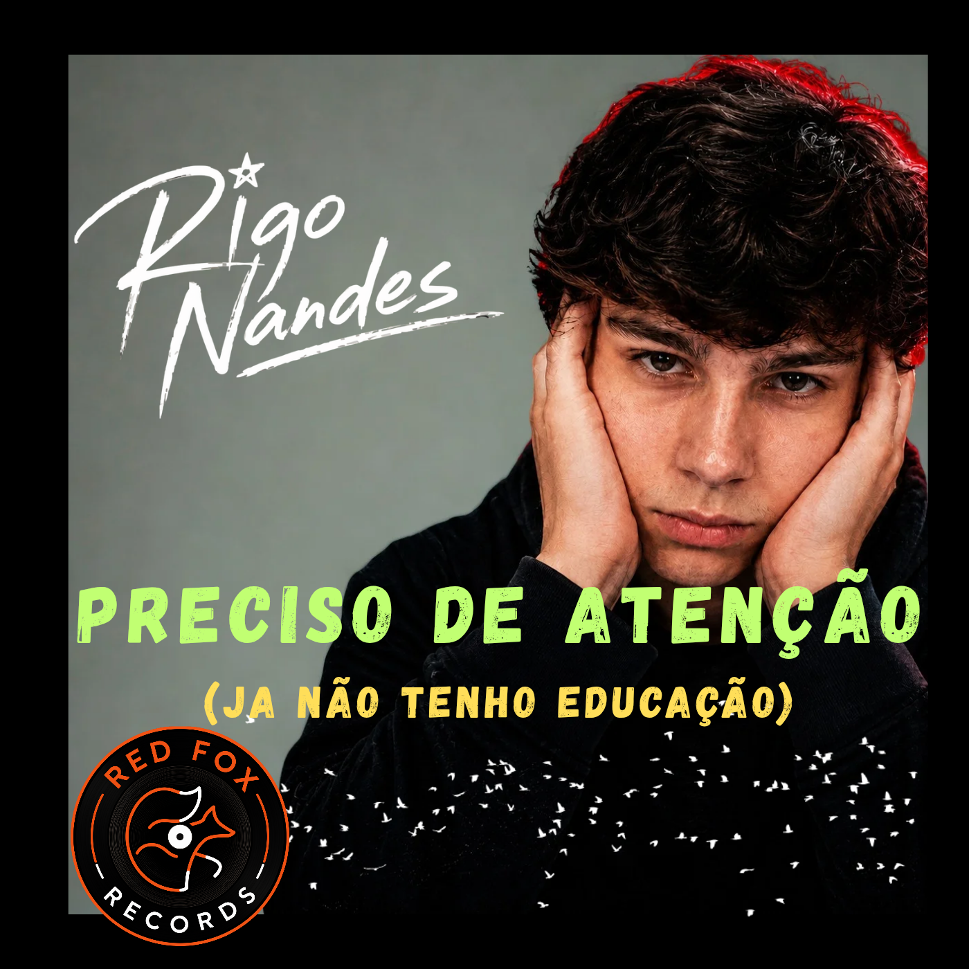 Capa de Preciso de Atenção